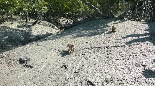 IMG-20170402-WA0001.jpg