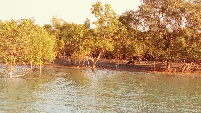 IMG-20170402-WA0006[1]