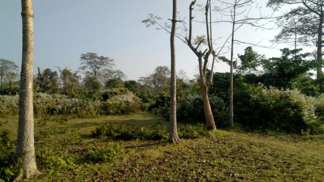 IMG-20180408-WA0002