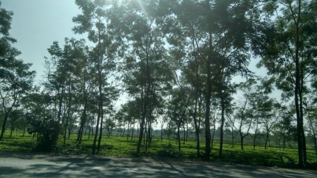 IMG-20171226-WA0007