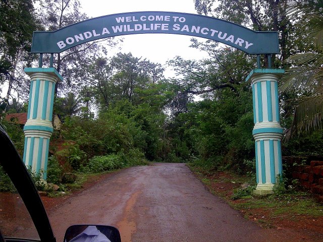 Bondla