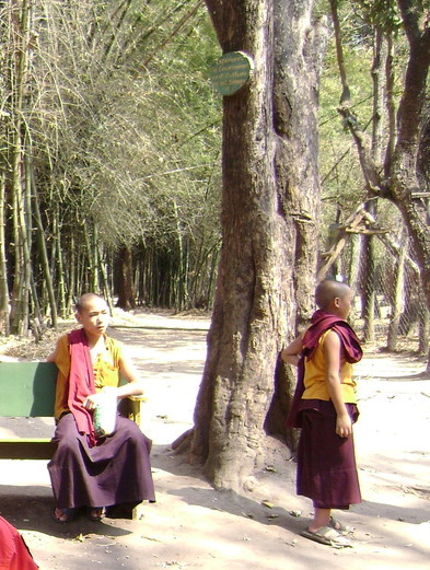 imageedit_4_8246724341